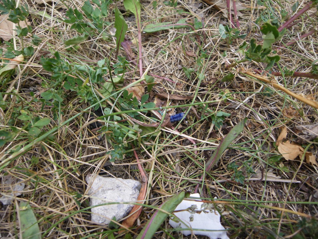 15_IMGP0113_D_F_Bo_0